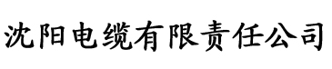 亚洲啪av永久无码精品放毛片电缆厂logo